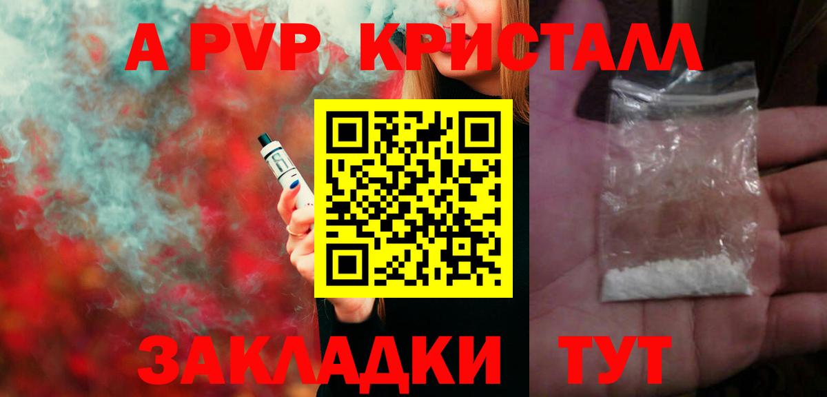 Альфа ПВП СК Петропавловск-Камчатский