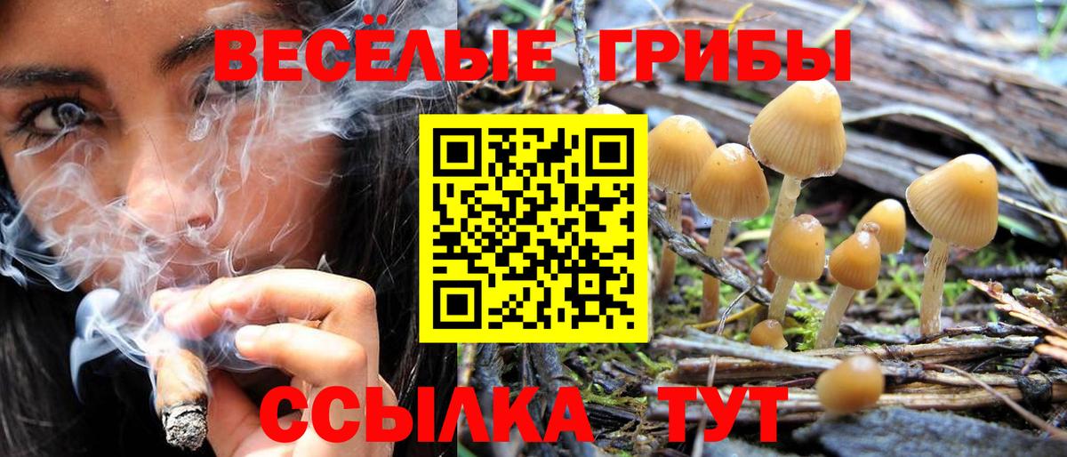 Галлюциногенные грибы прущие грибы  Вход с VPN  Галлюциногенные грибы Cubensis  Петропавловск-Камчатский 